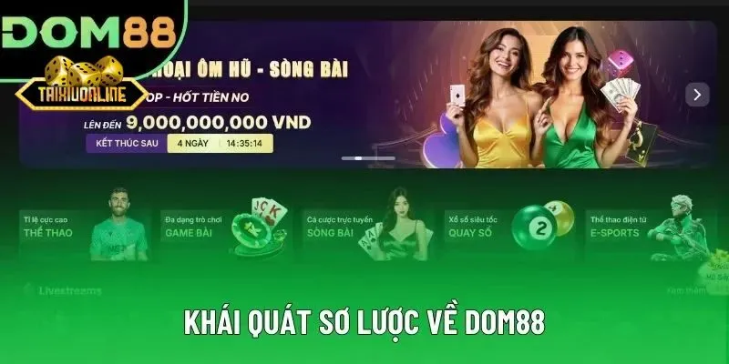 Dom88 - cổng game quốc dân trên thị trường cá cược